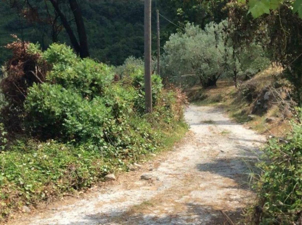 Holiday Home Dionysis Chorefton Dış mekan fotoğraf