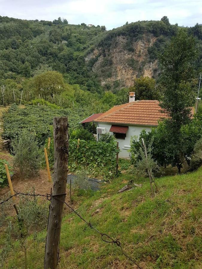 Holiday Home Dionysis Chorefton Dış mekan fotoğraf